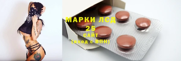 ПСИЛОЦИБИНОВЫЕ ГРИБЫ Алзамай