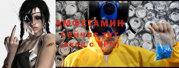 сатива Алексеевка